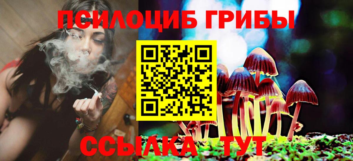 Псилоцибиновые грибы Cubensis Соликамск